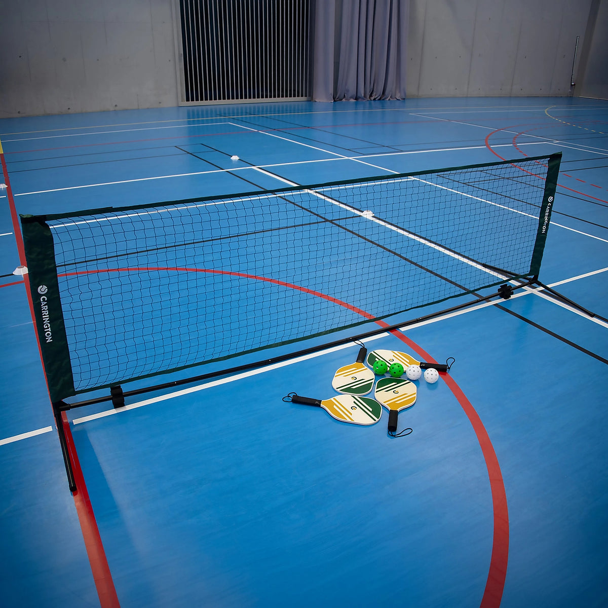 Pickleball net set Carrington
