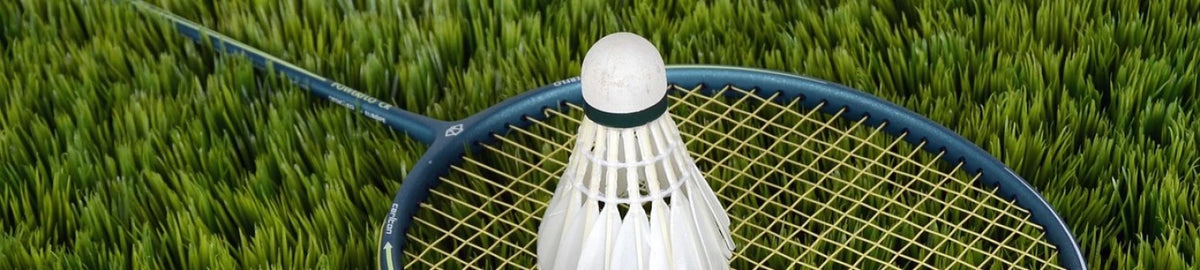 Andere sporten