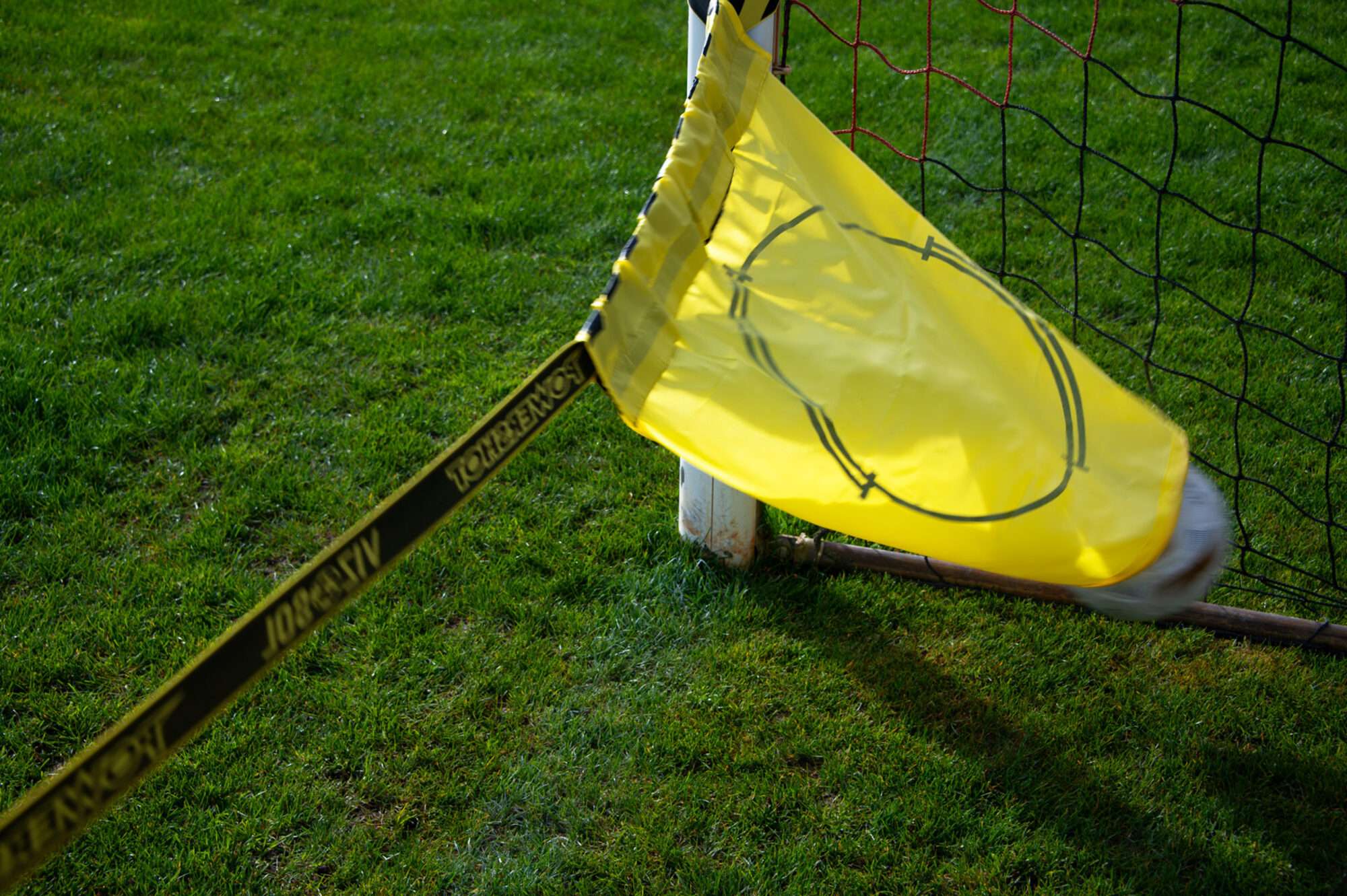 Image du produit : VIZOSOL - 76% des buts marqués !