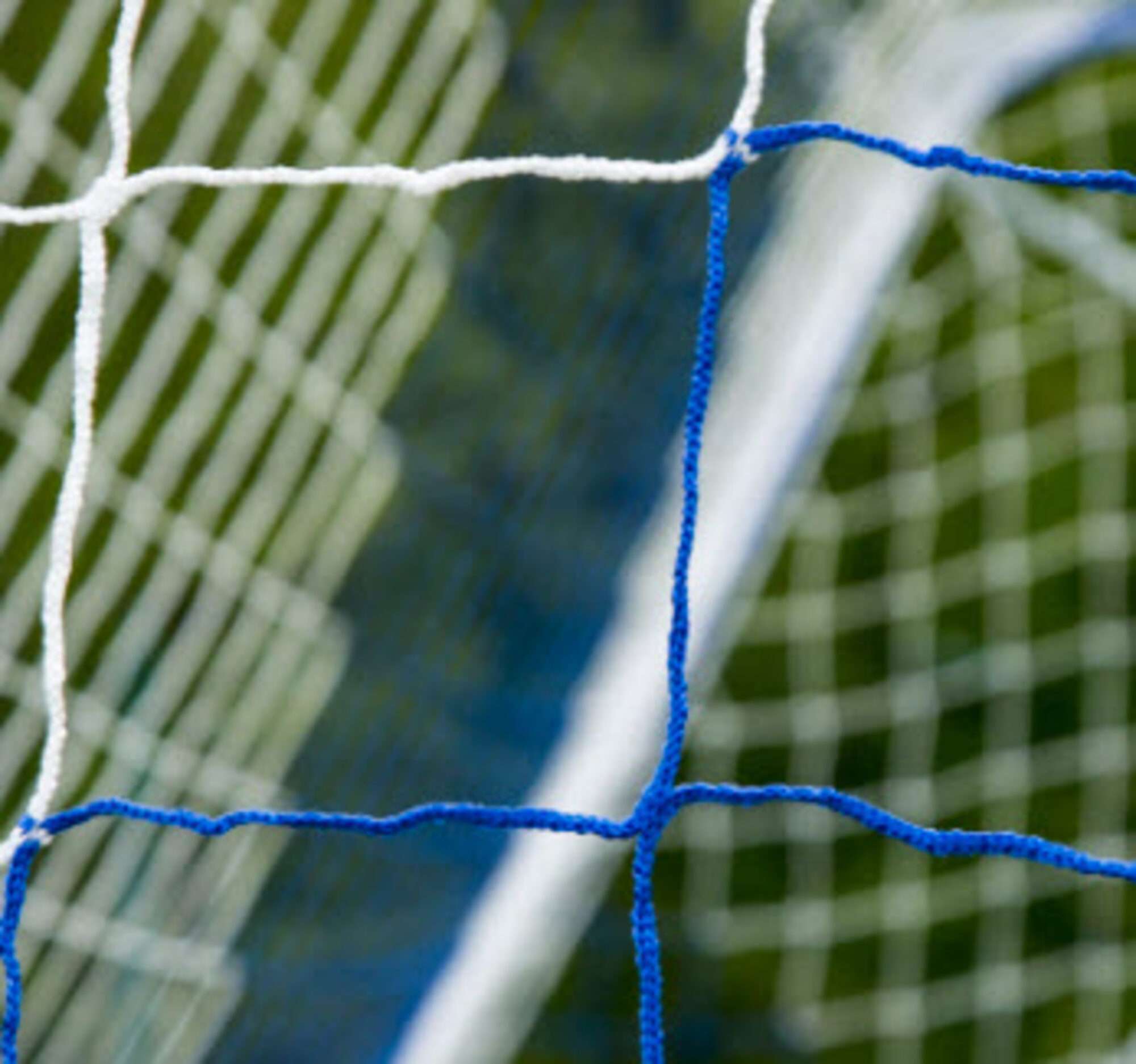 Image du produit : Filet de foot - 7,32 x 2,44 x 0,8 x 2 m - 3mm - BLANC / BLEU