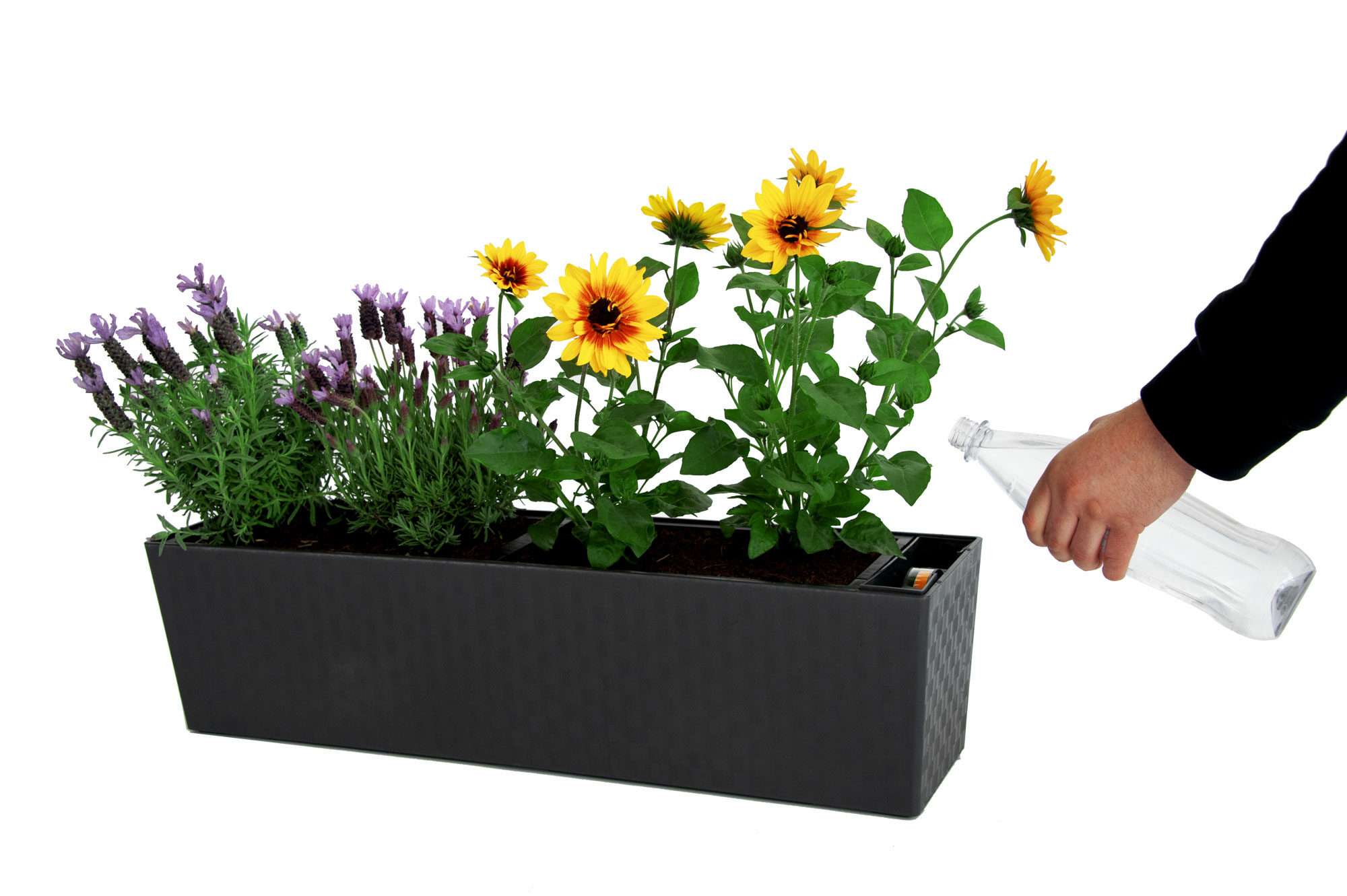 Image du produit : Pot de plante auto-irriguant SUPREME - 75cm