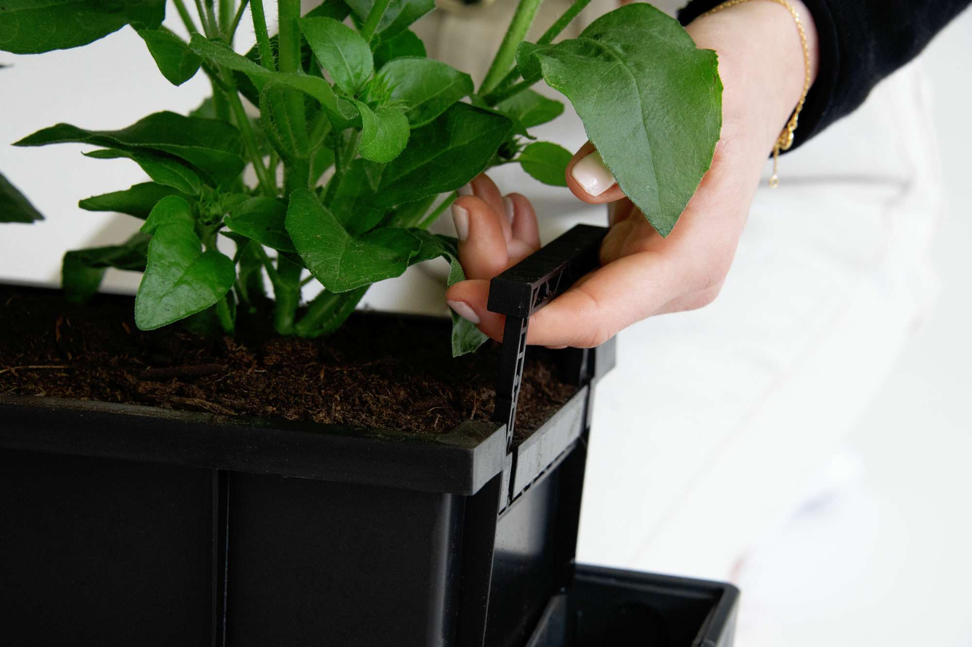 Image du produit : Pot de plante auto-irriguant SUPREME - 75cm