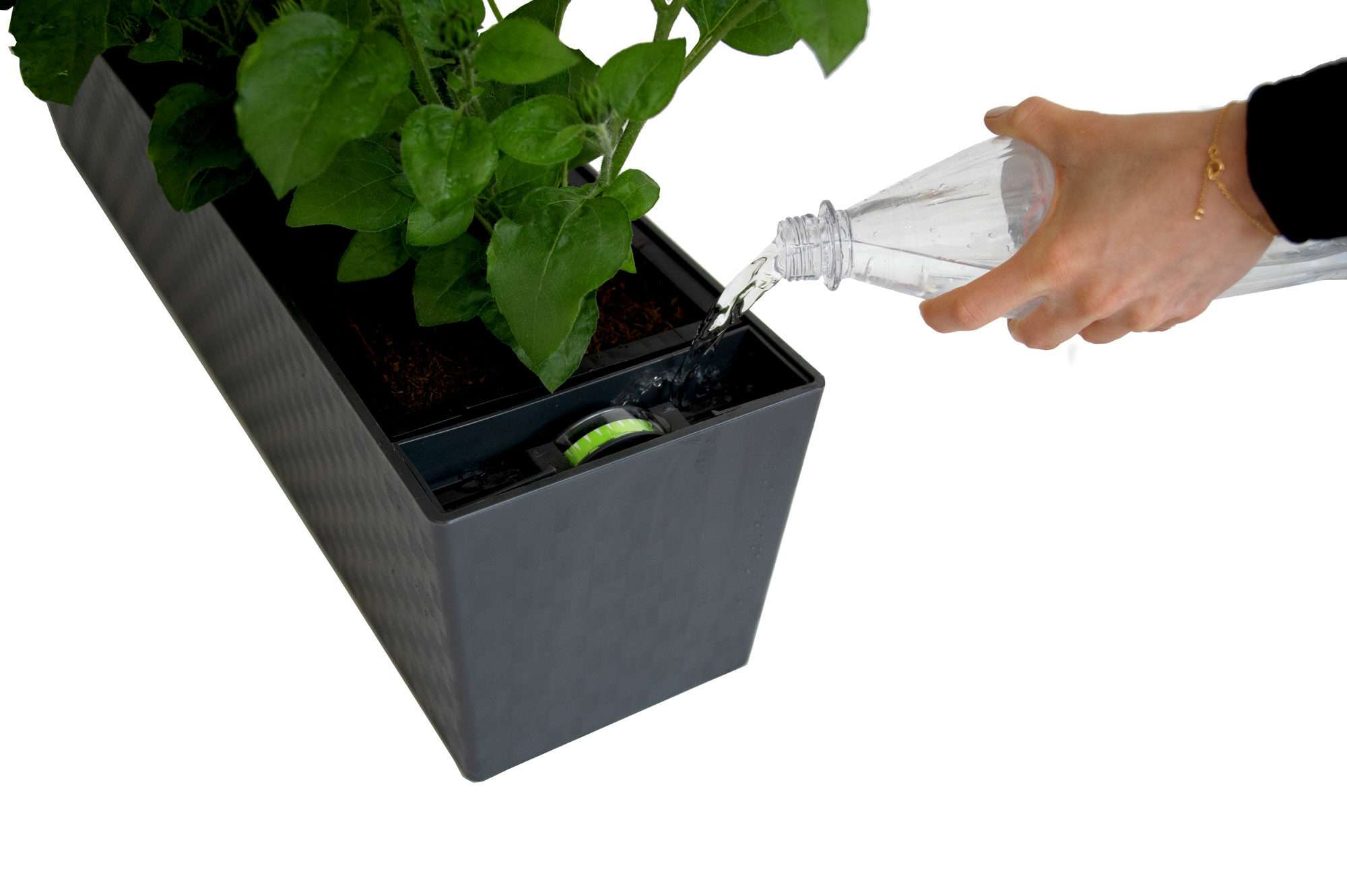 Image du produit : Pot de plante auto-irriguant SUPREME - 75cm