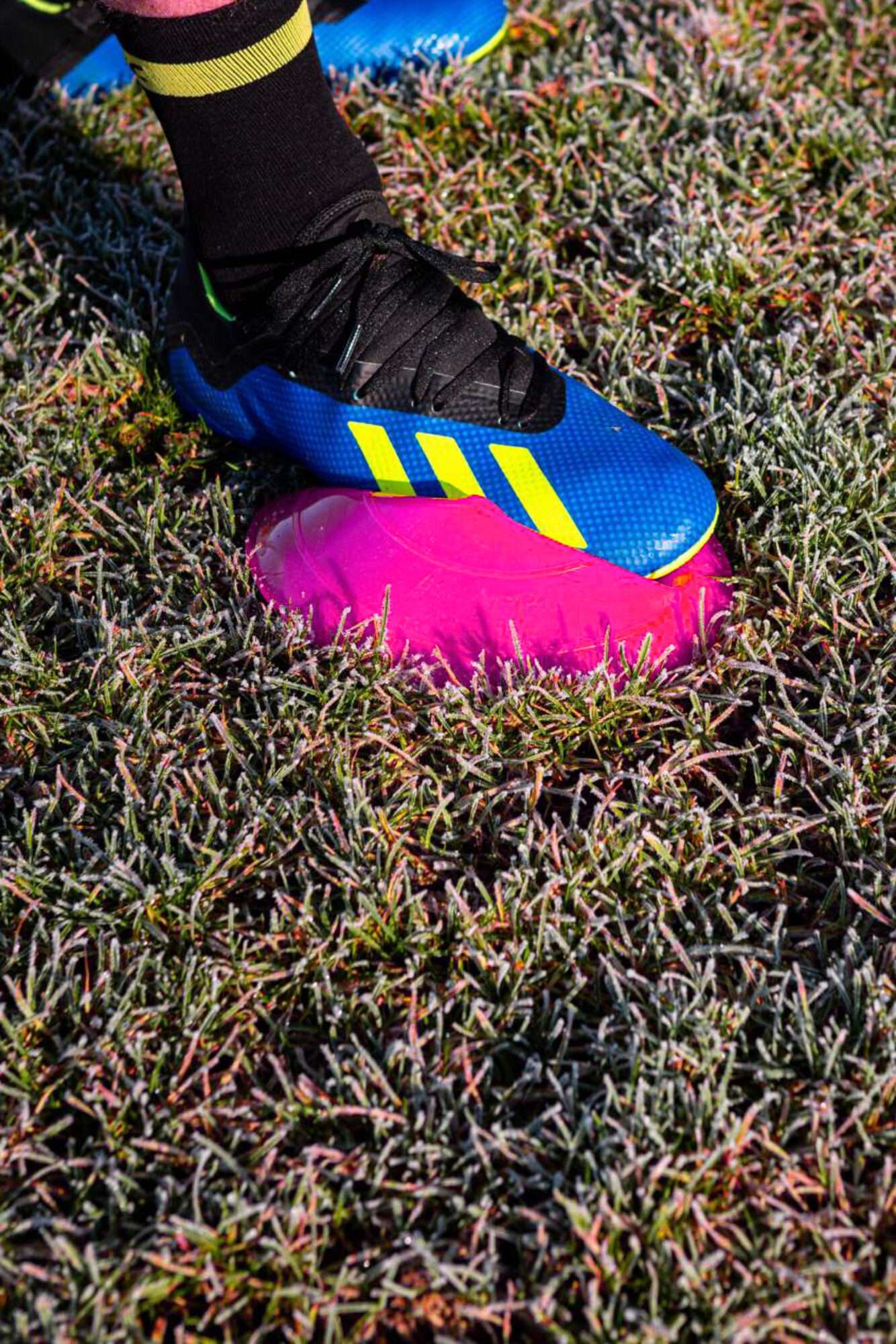 Image du produit : Balises de délimitation - Lot de 50