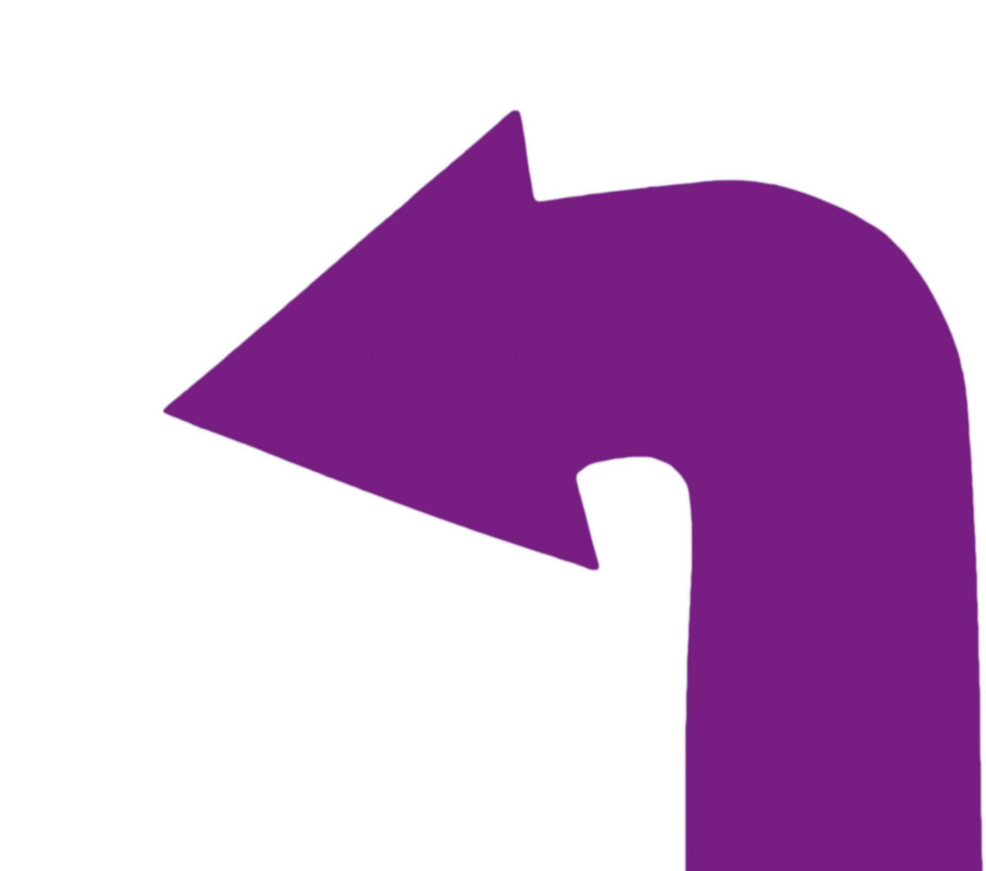 Image du produit : Marquage de sport scolaire : 4 flèches courbées