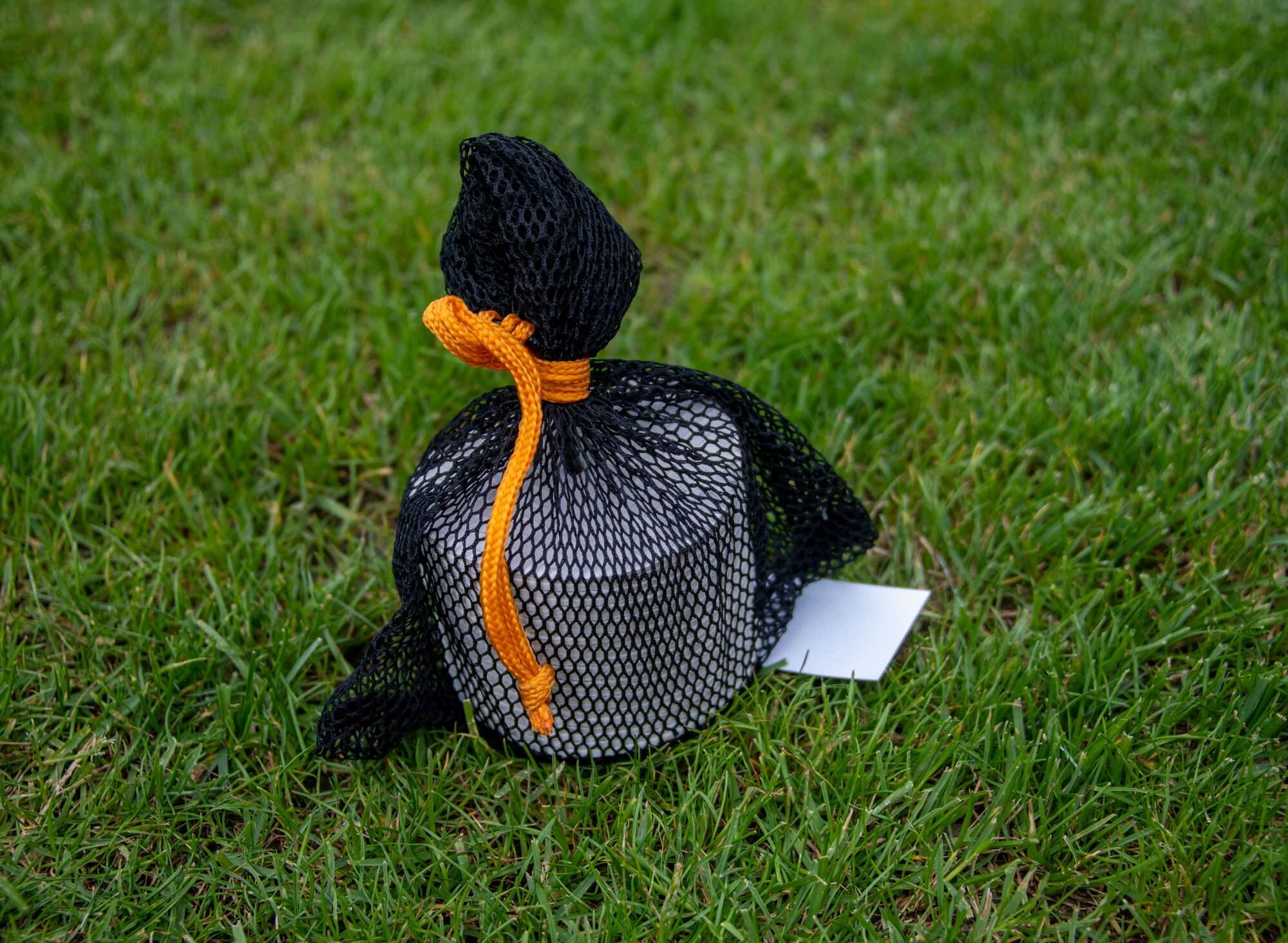 Image du produit : Petits disques de marquage - Lot de 24