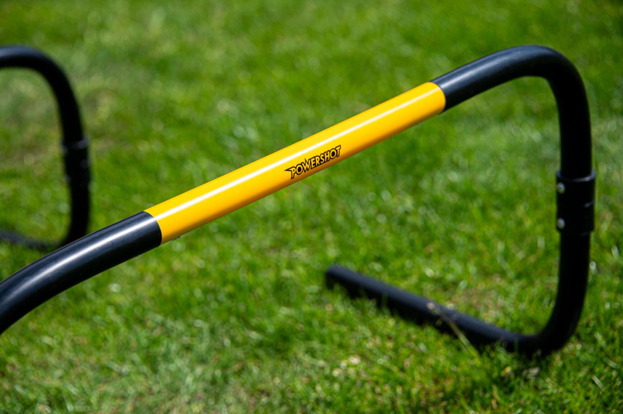 Image du produit : Haies 'Self Return' - 20cm - Lot de 6