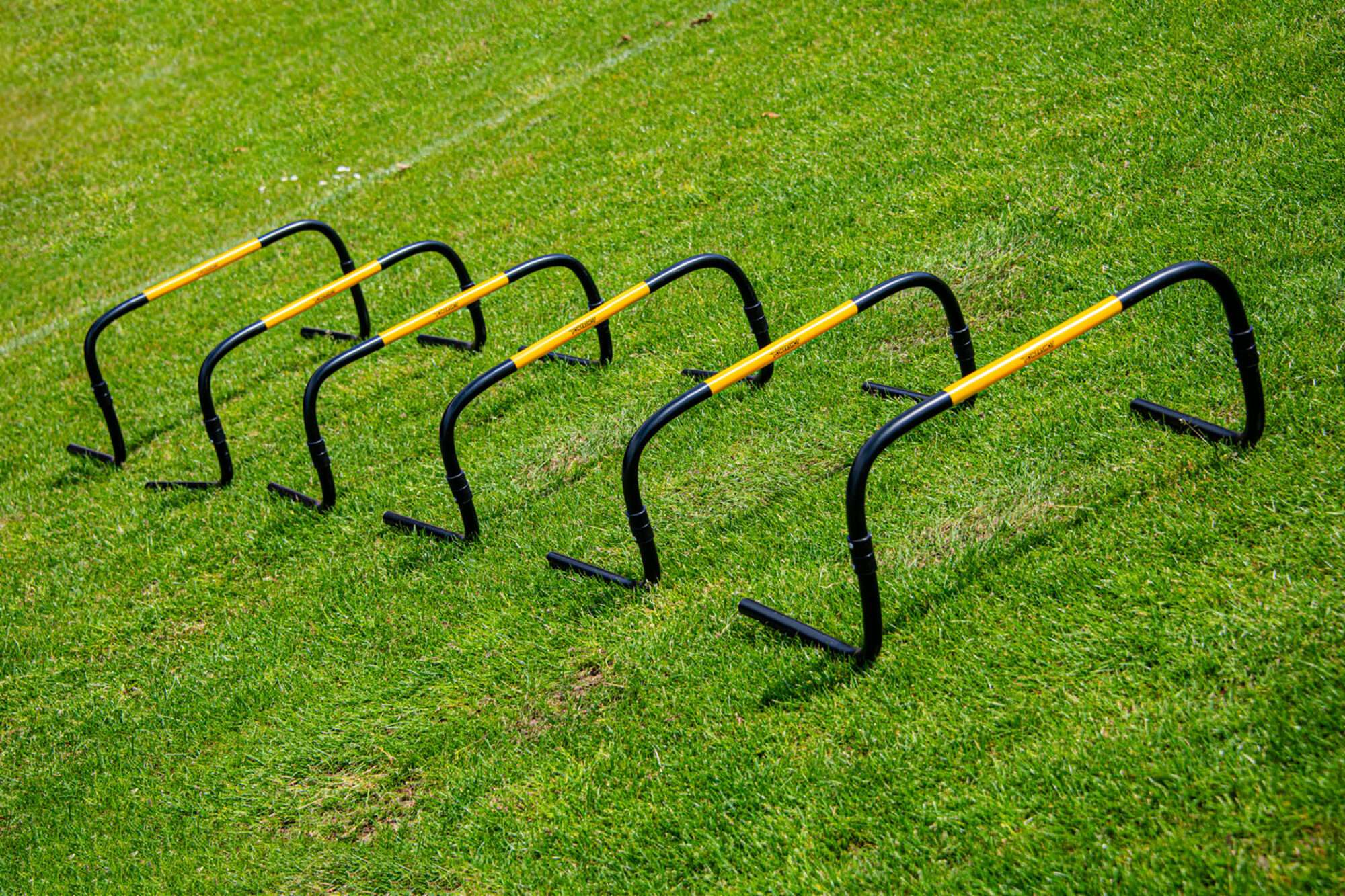 Image du produit : Haies 'Self Return' - 25cm - Lot de 6