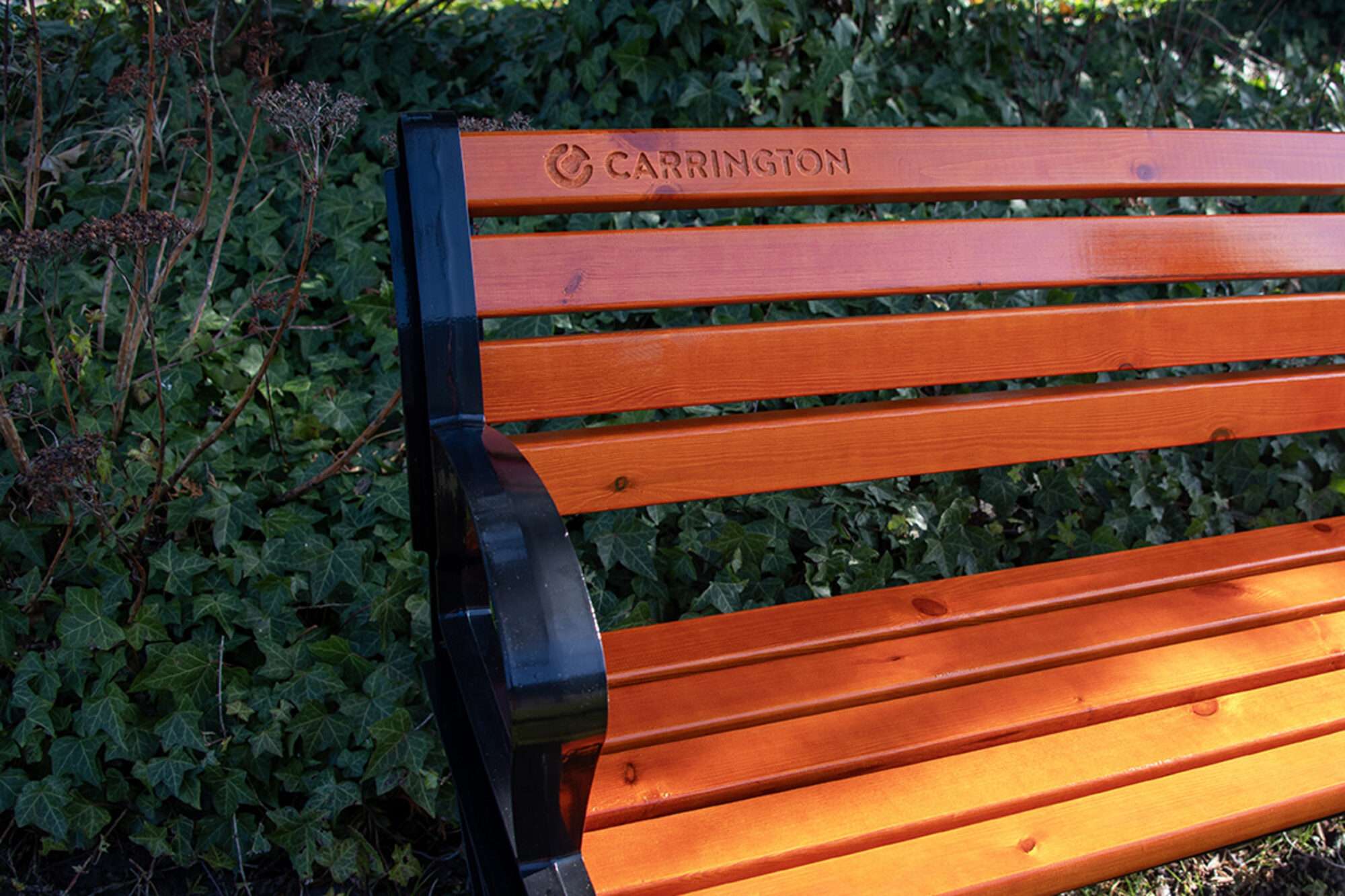 Image du produit : Banc tennis avec dossier - 180cm