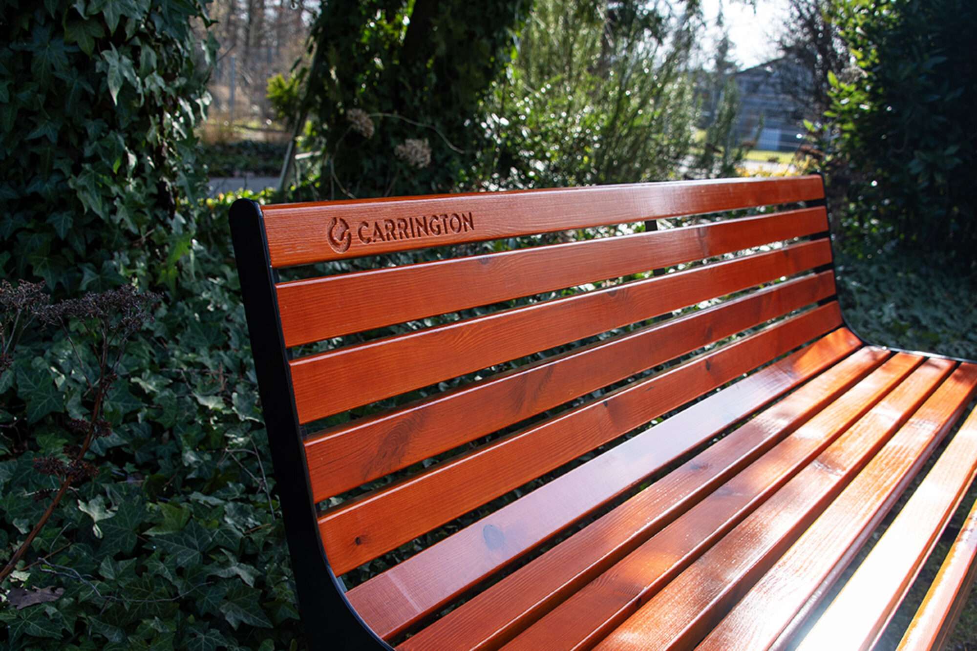 Image du produit : Banc tennis premium en bois avec dossier - 180 cm