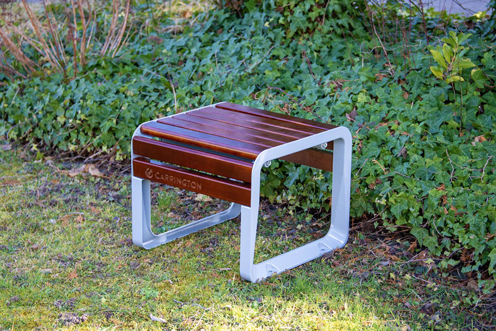 Image du produit : Siège premium une personne 