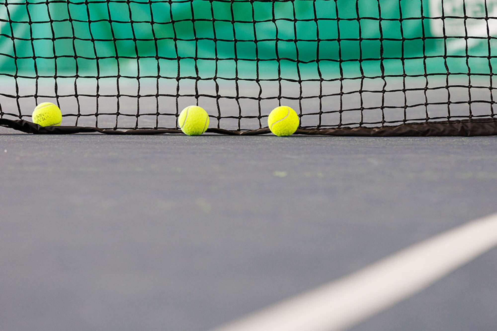 Image du produit : CARRINGTON® Filet de Tennis Expert - Ultra  Durable - Bandes en PVC sur les côtés et en bas